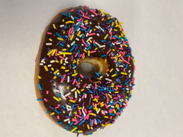 Chocolate Iced Raised Ring Sprinkles Donut